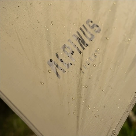 Tarpas Alpinus Zagros žalias