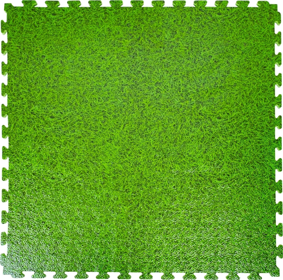 Tatami dėlionės kilimėlis inSPORTline Zemalpro 100 x 100 x 2 cm