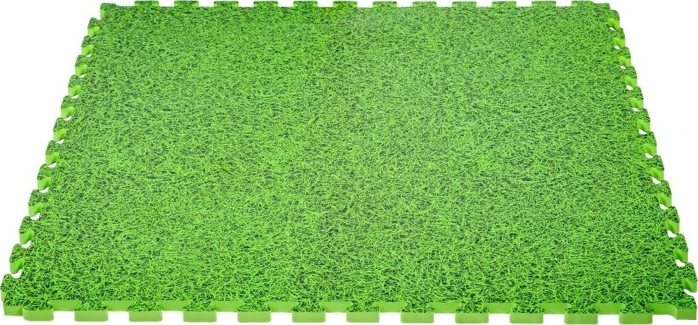 Tatami dėlionės kilimėlis inSPORTline Zemalpro 100 x 100 x 2 cm