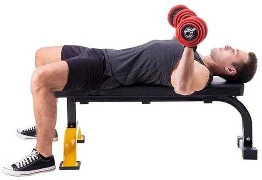 L8012 EXERCISE BENCH HMS PREMIUM