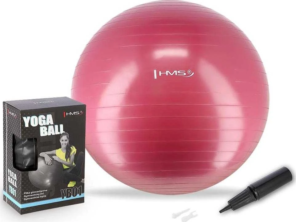 Naujas gimnastikos kamuolys HMS YB01, 65 cm, slyvų spalvos