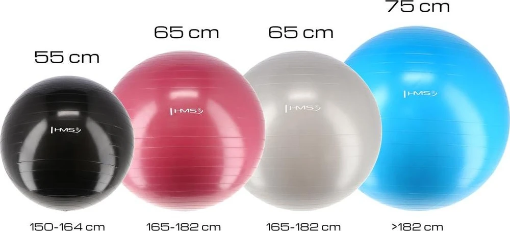 Naujas gimnastikos kamuolys HMS YB01, 65 cm, slyvų spalvos