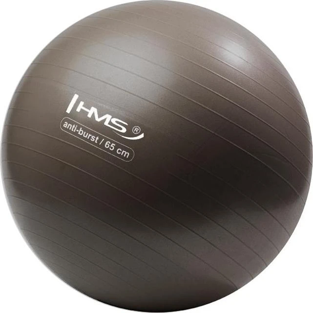 YB02N 65CM GRIZZLY GIMNASTIKOS KAMUOLYS HMS