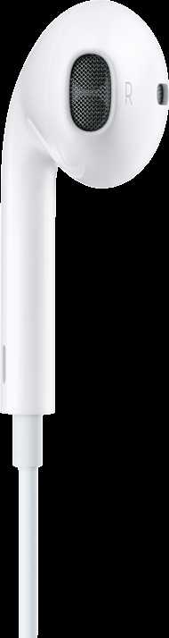 Ausinės Apple EarPods (USB-C)