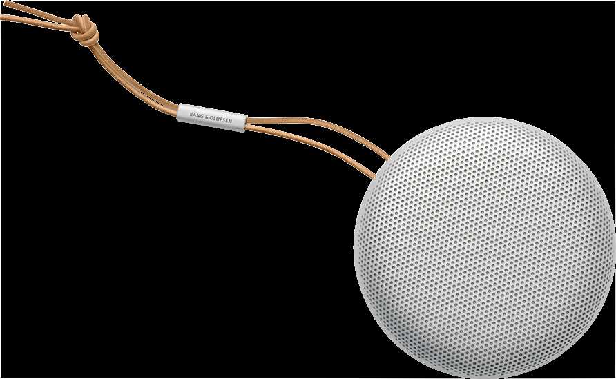 Bang & Olufsen Beosound A1 2nd Gen Nešiojama belaidė Bluetooth kolonėlė su balso asistentu, Pilka