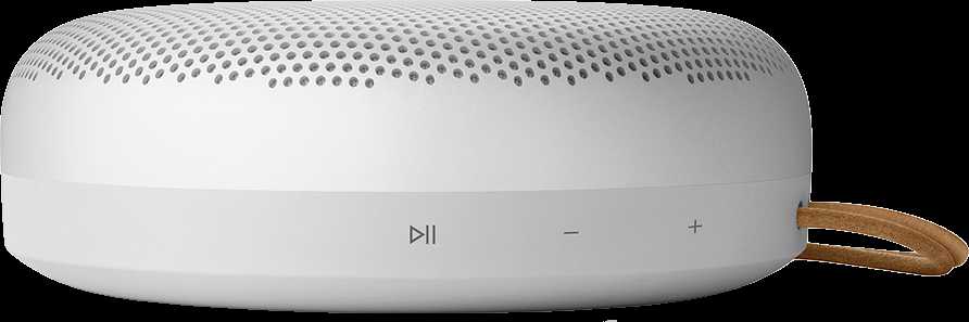 Bang & Olufsen Beosound A1 2nd Gen Nešiojama belaidė Bluetooth kolonėlė su balso asistentu, Pilka