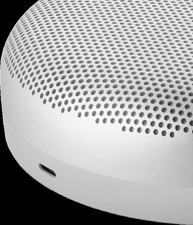 Bang & Olufsen Beosound A1 2nd Gen Nešiojama belaidė Bluetooth kolonėlė su balso asistentu, Pilka