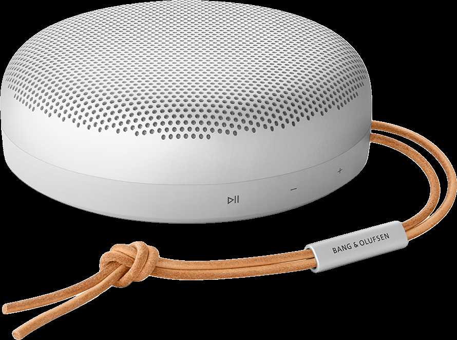 Bang & Olufsen Beosound A1 2nd Gen Nešiojama belaidė Bluetooth kolonėlė su balso asistentu, Pilka