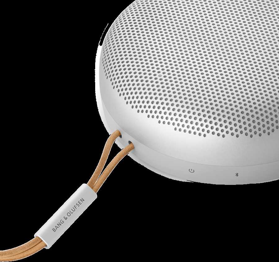 Bang & Olufsen Beosound A1 2nd Gen Nešiojama belaidė Bluetooth kolonėlė su balso asistentu, Pilka