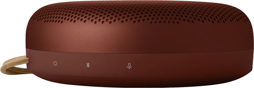 Carruzzo „Bang & Olufsen Beosound A1 3rd Gen Rustic“ ausinės