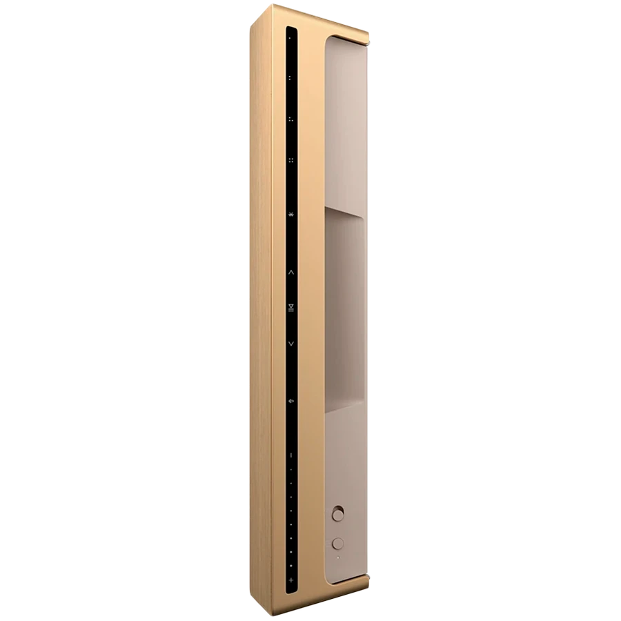 Bang & Olufsen Beosound Level Nešiojama Namų Kolonėlė, (Gold Tone Alu/Light Oak), su WiFi ir Google balso asistentu