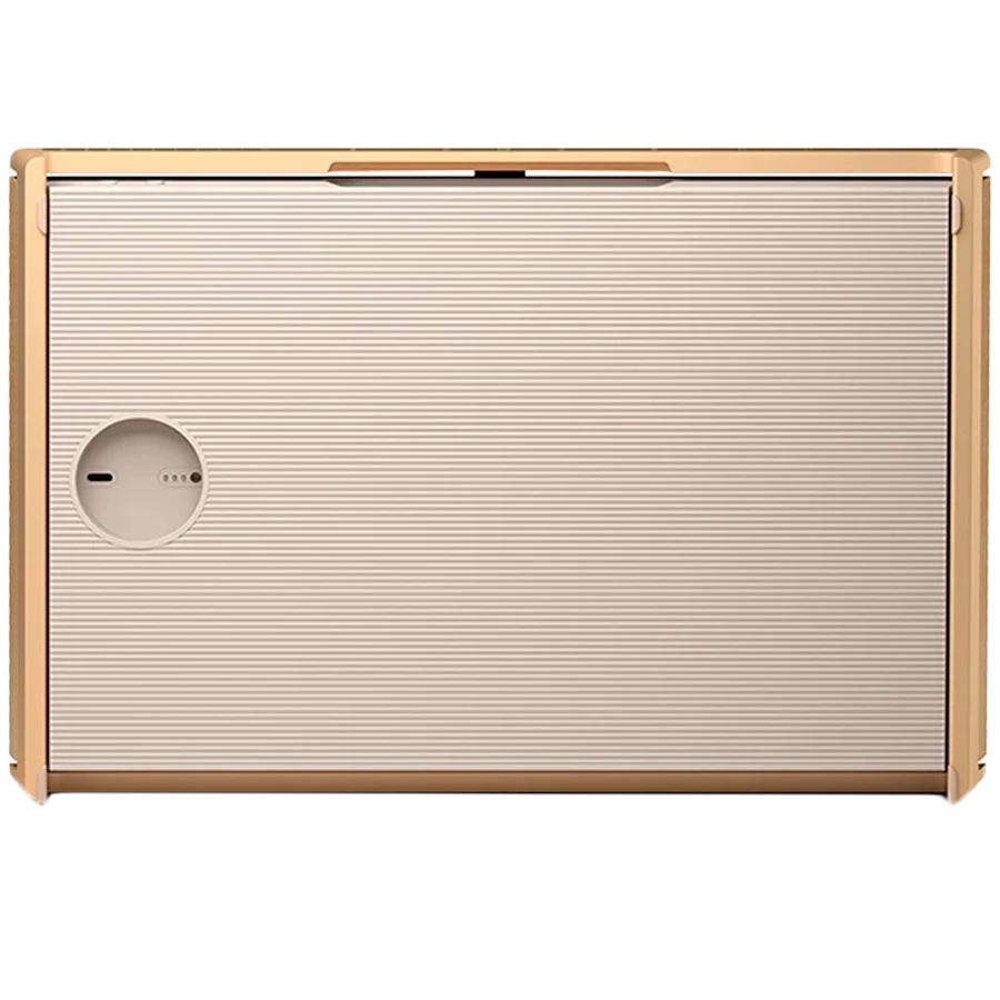 Bang & Olufsen Beosound Level Nešiojama Namų Kolonėlė, (Gold Tone Alu/Light Oak), su WiFi ir Google balso asistentu