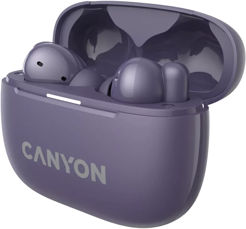 Canyon OnGo TWS-10 ausinės įkrovimo dėkle