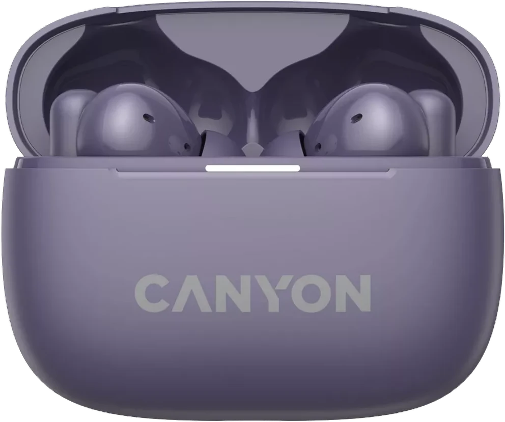Canyon OnGo ANC TWS-10 atidarytas įkrovimo dėklas