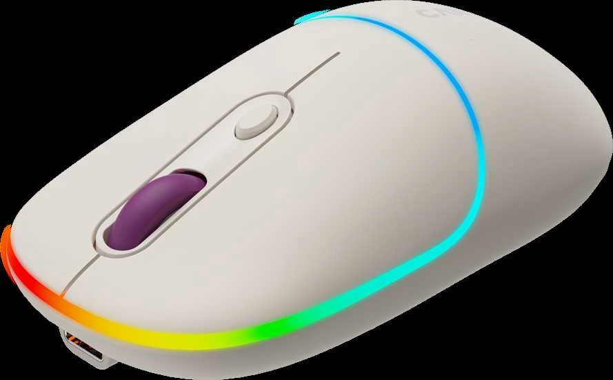 CANYON pelė MW-22 2in1 BT/ Wireless Rice