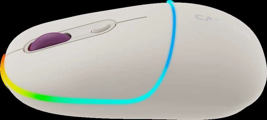 CANYON pelė MW-22 2in1 BT/ Wireless Rice