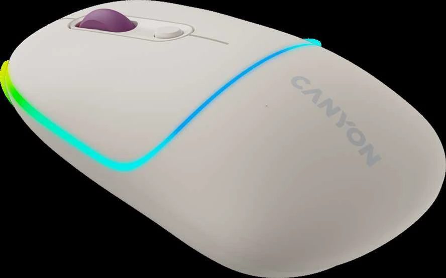 CANYON pelė MW-22 2in1 BT/ Wireless Rice