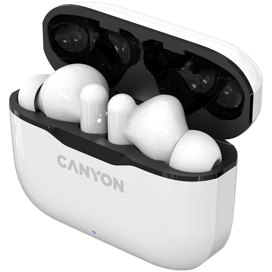 Belaidės ausinės Canyon TWS-3, Baltos/Juodos spalvos