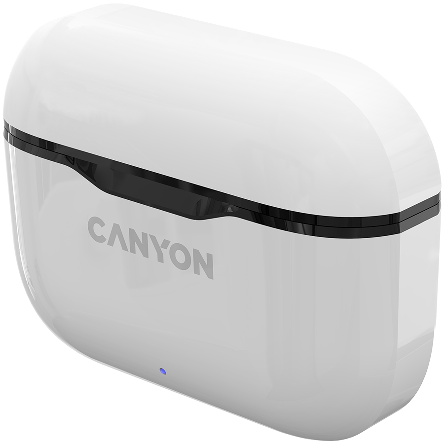 Belaidės ausinės Canyon TWS-3, Baltos/Juodos spalvos
