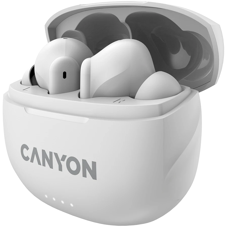 Canyon TWS-8 ausinės atvirame krovimo dėkle