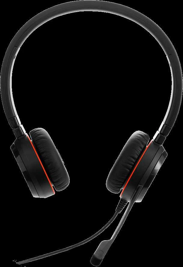 JABRA Evolve 20 USB C/A MS Stereo ausinės