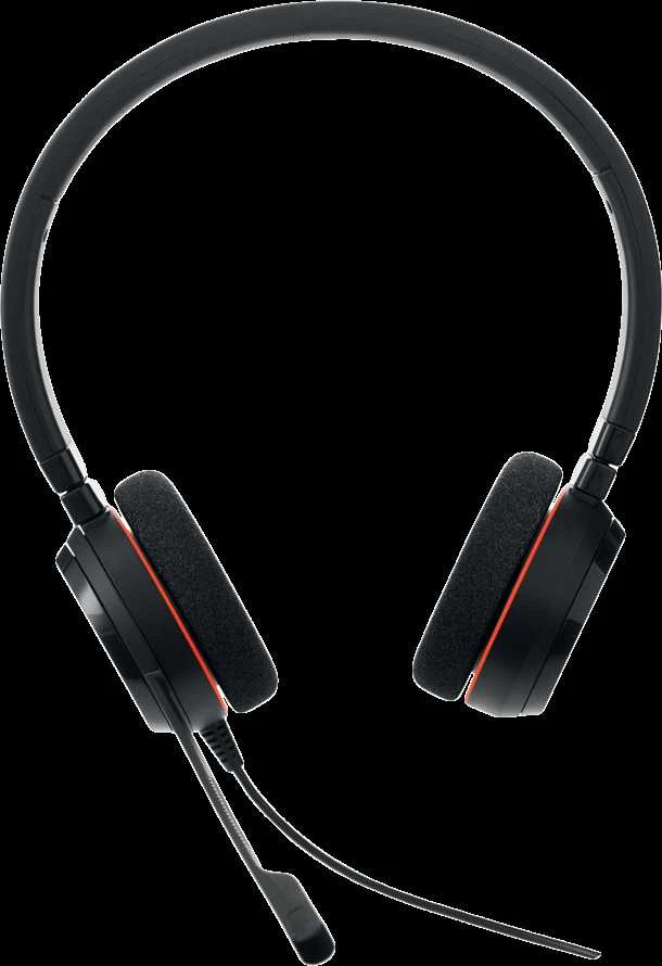 Jabra Evolve 20 ausinės su mikrofonu