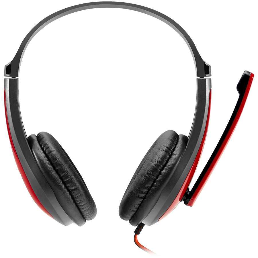 Canyon HSC-1 ausinės su mikrofonu