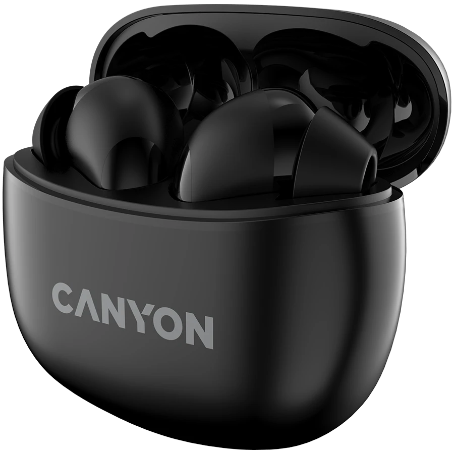 Ausinės Canyon TWS-5, Juodos