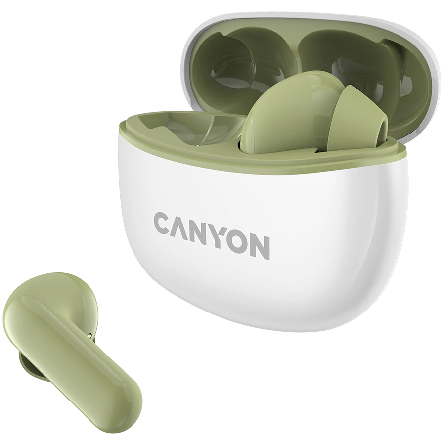 Canyon TWS-5 ausinės, atidarytas dėkliukas