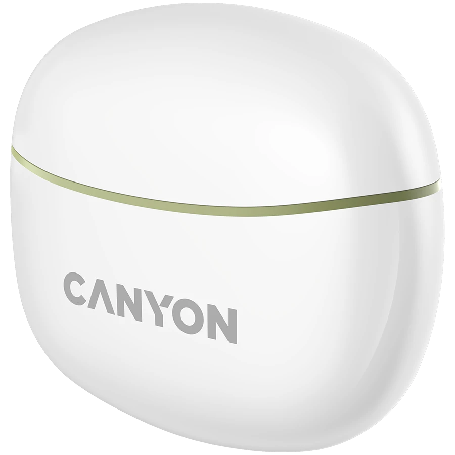 Ausinės Canyon TWS-5, Sąmanų spalvos