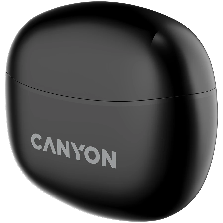 Ausinės Canyon TWS-5, Juodos