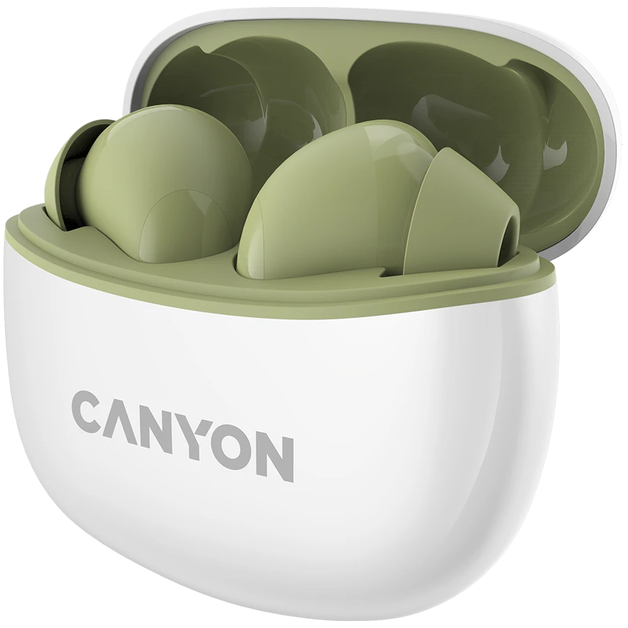 Ausinės Canyon TWS-5, Sąmanų spalvos