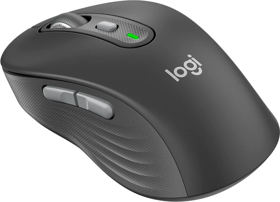Pelė Logitech SIGNATURE PLUS M750 L belaidė