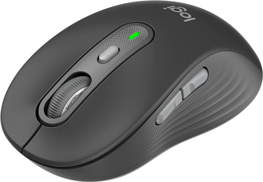 Pelė Logitech SIGNATURE PLUS M750 L belaidė