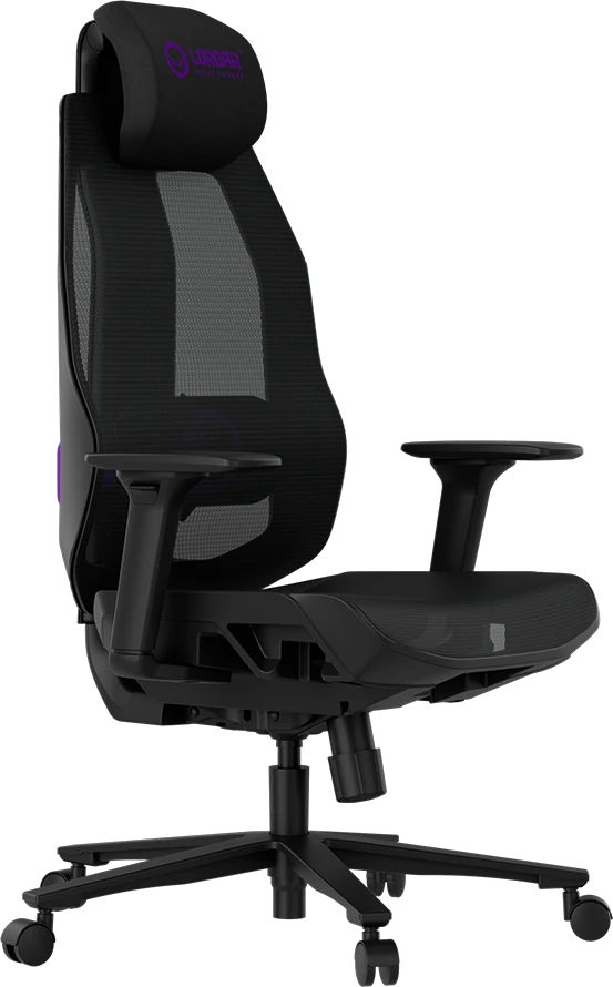 LORGAR CHP51 Mesh Gaming Chair Pro Multi-adjustable Juodas-Violetinė