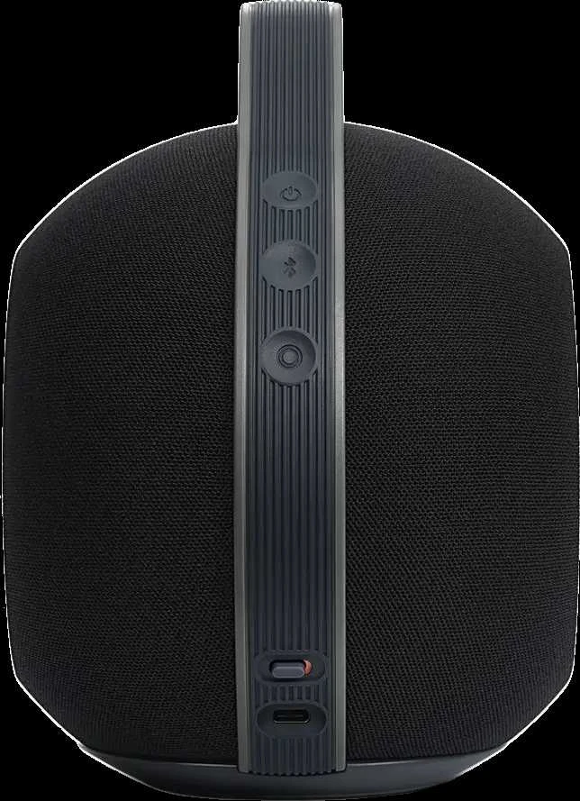 Nešiojama kolonėlė Devialet Mania, Juodos spalvos