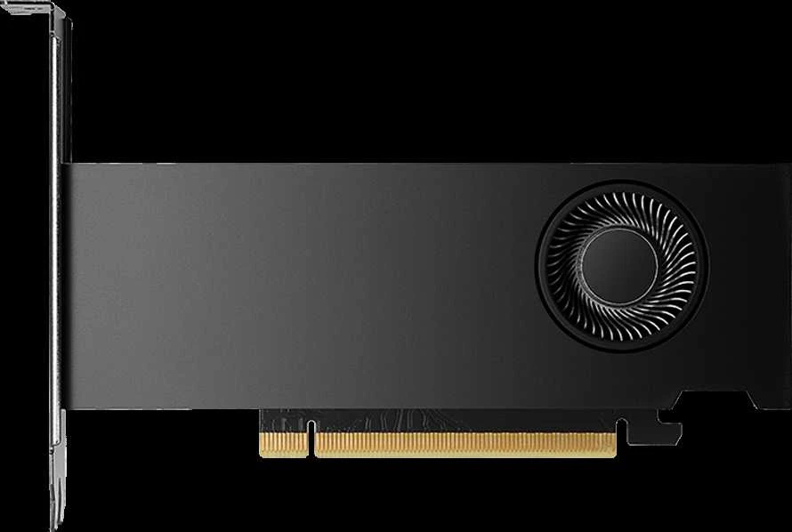 PNY NVIDIA 2000 Ada 16GB vaizdo plokštė profilis