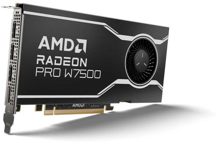 AMD GPU W7500 8GB GDDR6 128bit, 12Tflops, 4x DP 2.1, aktyvus ventiliatorius, RDNA3