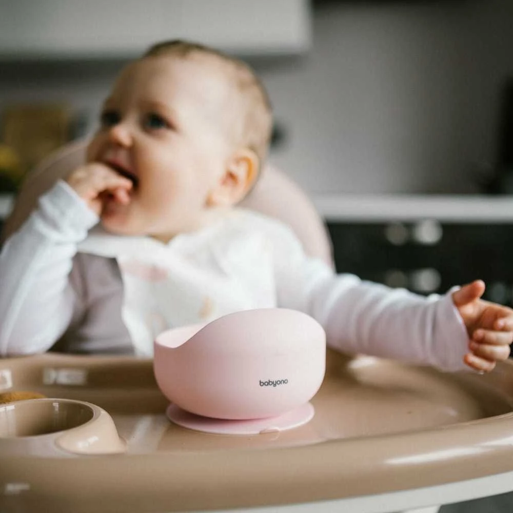 Baby Ono Babyono lėkštutė silikoninė neslystanti rožine 1481/02