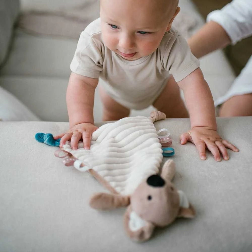 Baby Ono Babyono migdukas koala charlie 1559