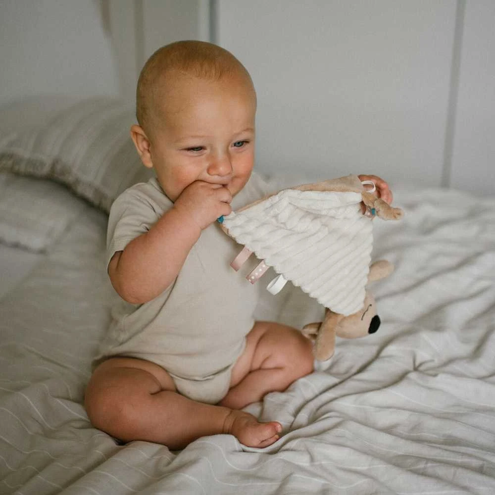 Baby Ono Babyono migdukas koala charlie 1559