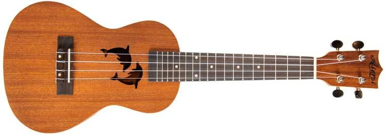 Aiersi Ukulele rinkinys SU-024D