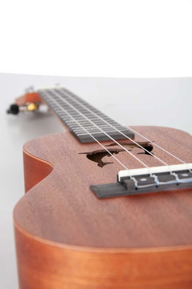 Aiersi Ukulele rinkinys SU-024D