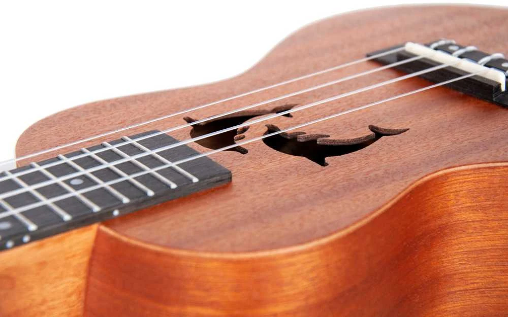Aiersi Ukulele rinkinys SU-024D