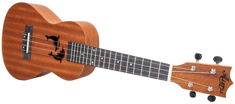 Aiersi Ukulele rinkinys SU-024D