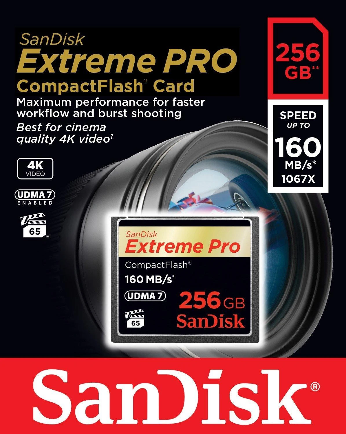 Atminties kortelė Sandisk KARTA EXTREME PRO CF 256 GB