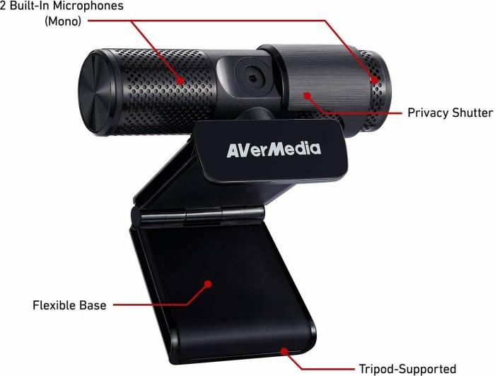 Kameros internetas AVerMedia PW313 40AAPW313ASF