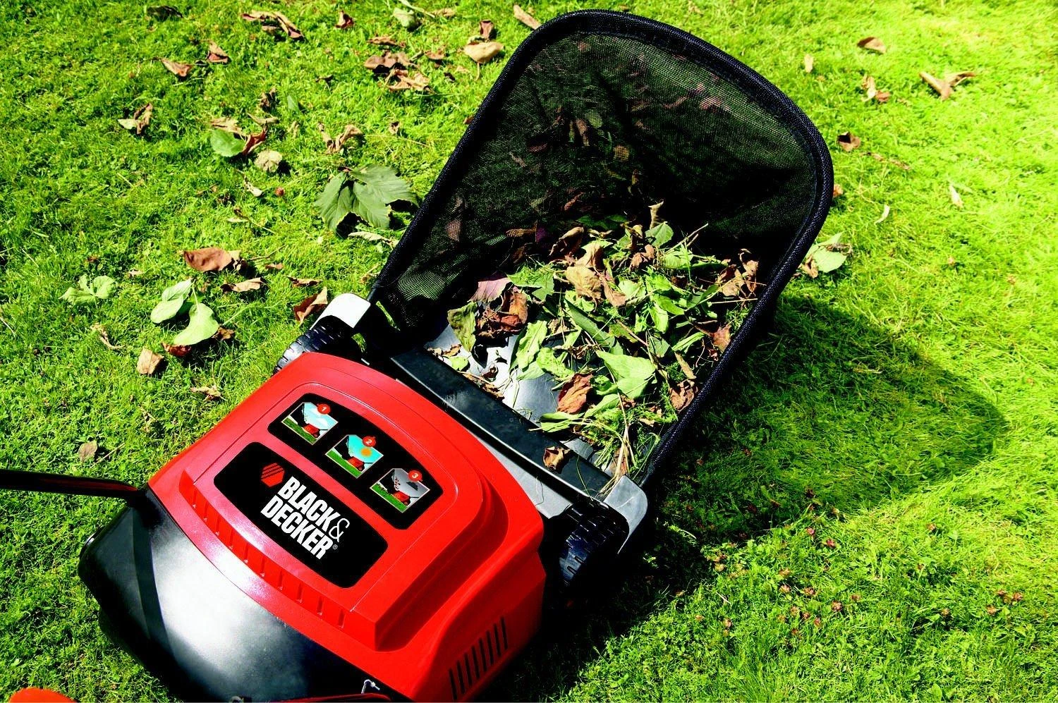Elektrinis aeratorius Black&Decker GD 300 600W