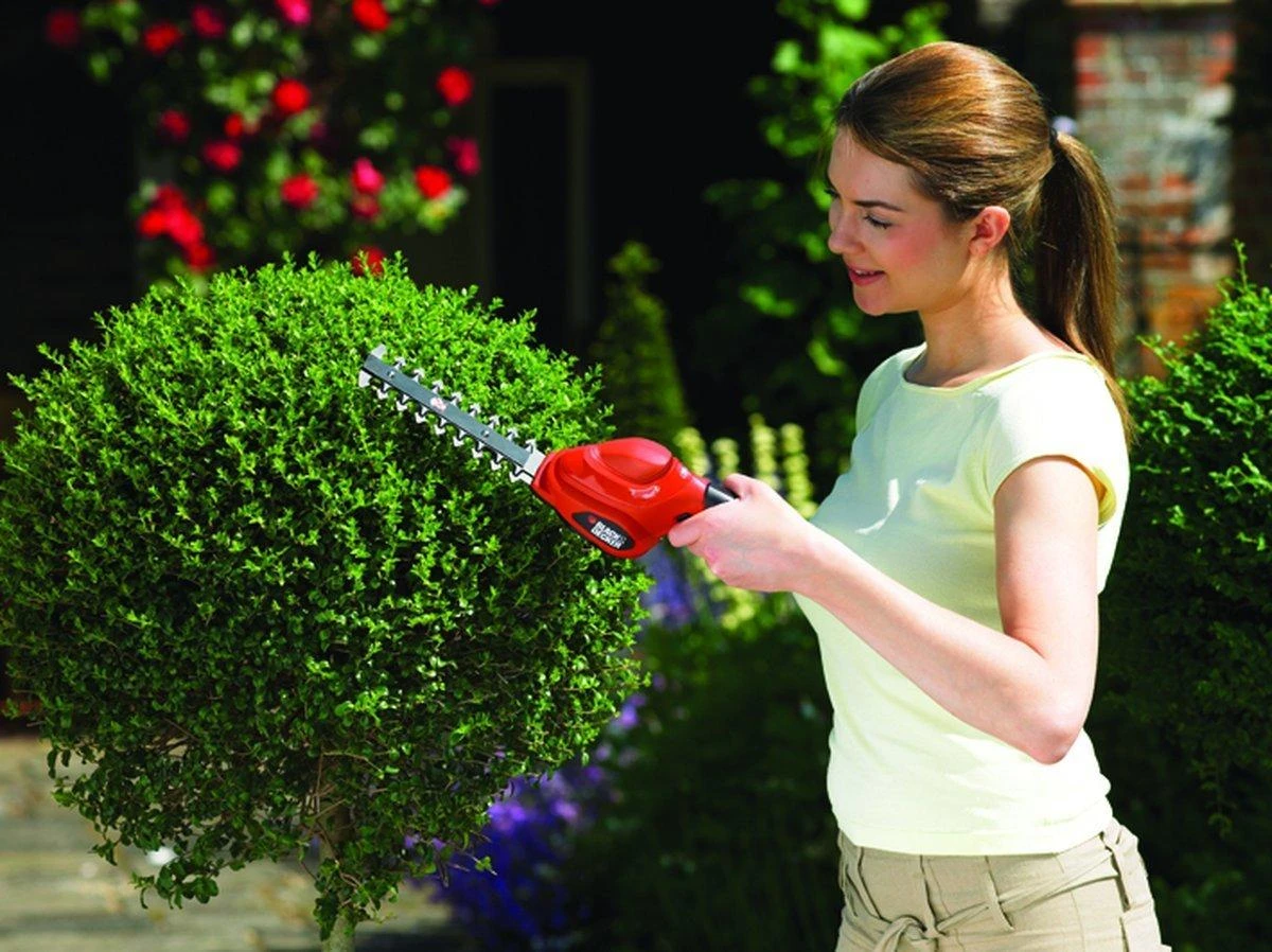 Black & Decker Akumuliatorinės gyvatvorių žirklės GSL300