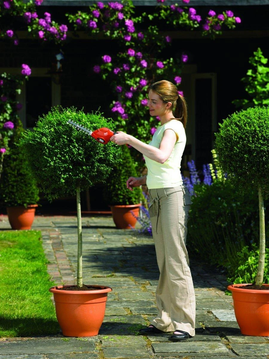 Black & Decker Akumuliatorinės gyvatvorių žirklės GSL300